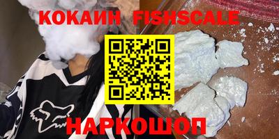 a pvp Новозыбков