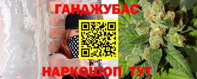 a pvp Новозыбков