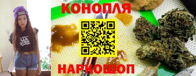 a pvp Новозыбков